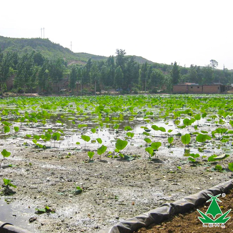 Hot Selling Polyethylene Pond Liner HDPE Geomembrane Aquaculture Equipment for Fish Bond Fish Farm Tank