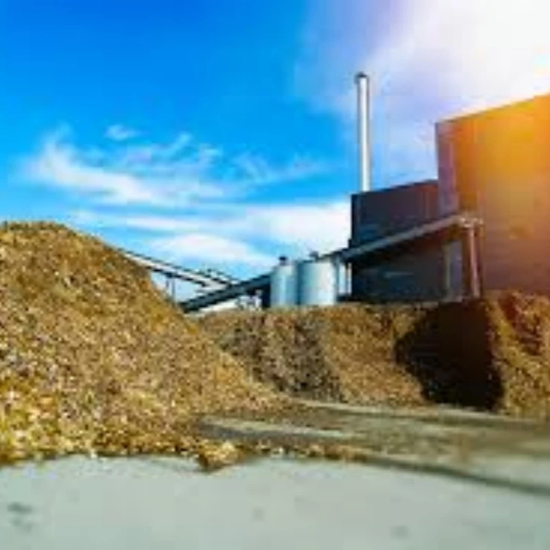 Competitive Price Agricultural Waste Coal-Fired Steel Structure Power Plant