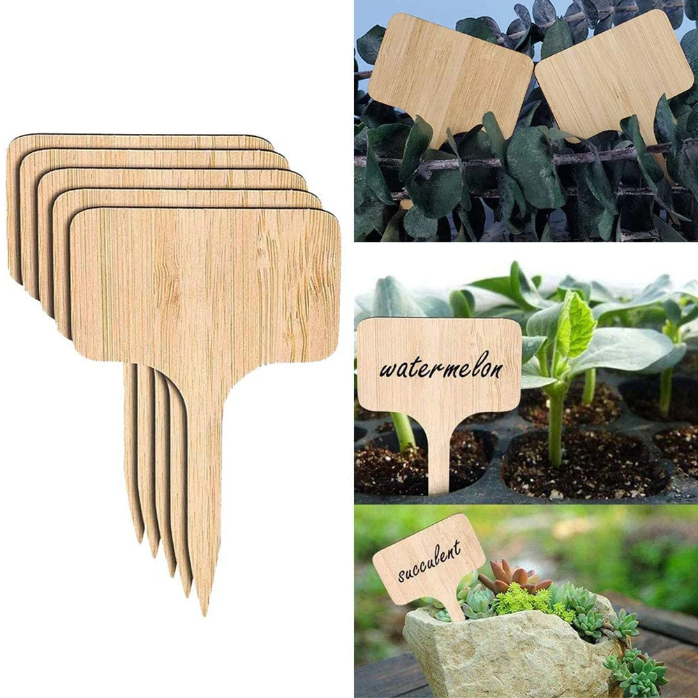 60 Bamboo Plant Labels in Gift Box (T-Type) | Plant Tags | Cheese Markers