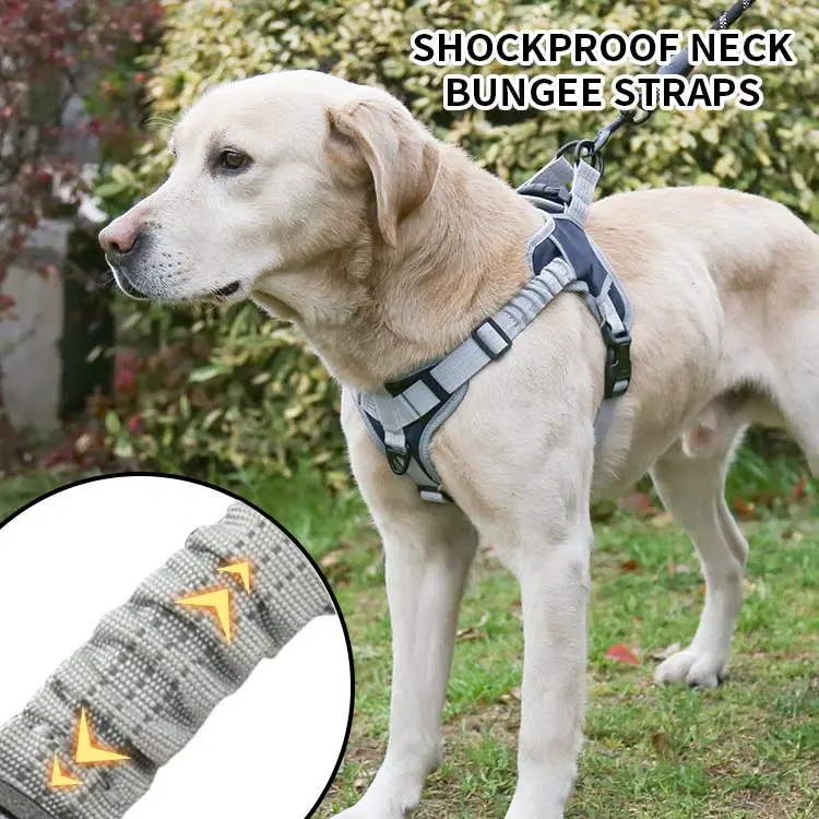 Maychan Soft Reflective No Pull Dog Harness, Oxford Adjustable Dog Harness with Shock Absorption Strap