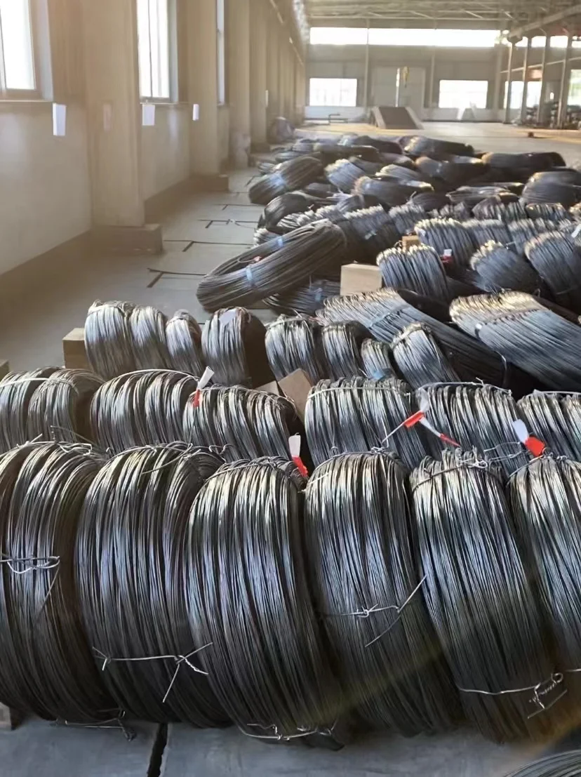 China Supplier 5mm High Quality Spring Steel Wire
