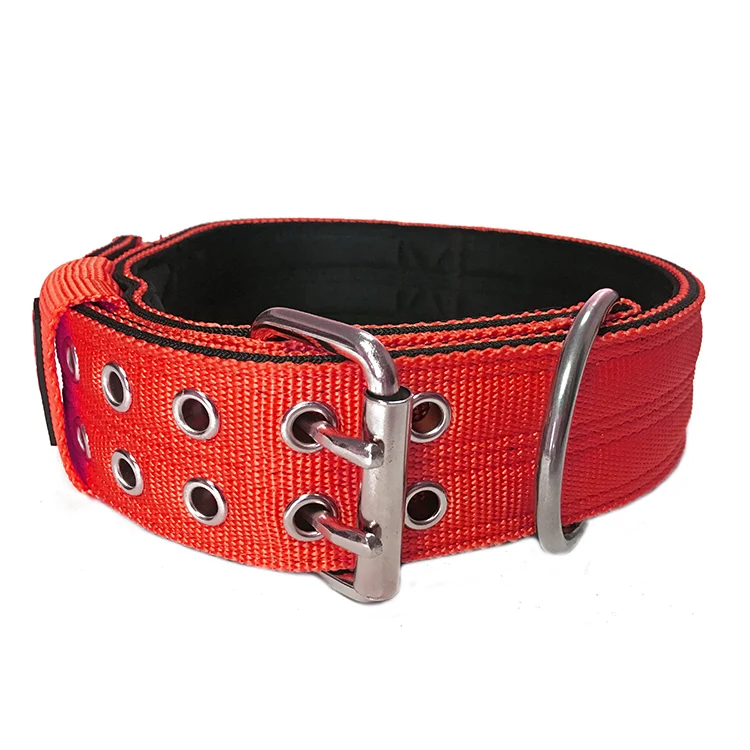 2 inch Durable Nylon Webbing Double Pin Buckle Dog Collar With Handle and Soft Neoprene Padded Lining