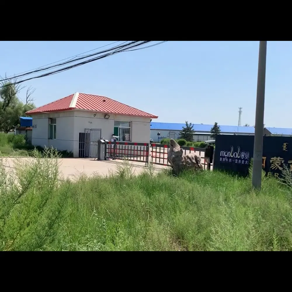 Molar Stick Dog Bite resistant Pet Snack Bone Small Dog Medium and Large Puppy Dog Calcium Supplemented Beef Stick Bone