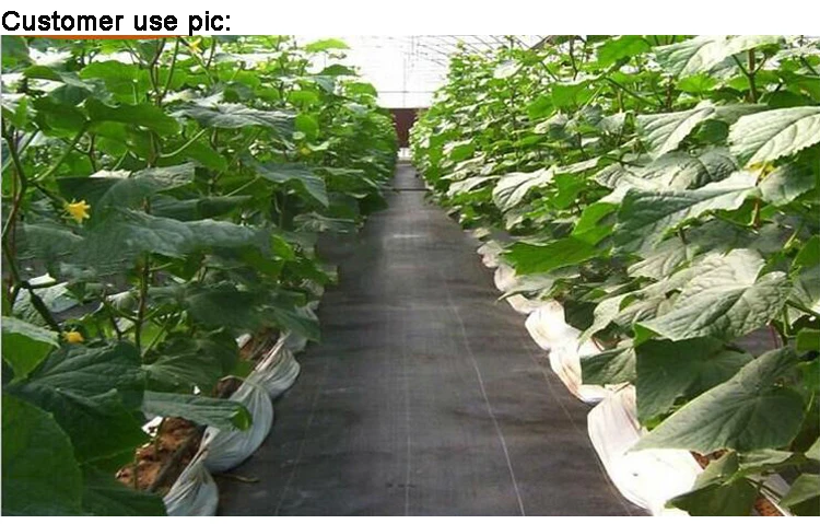 Factory Sale PP PE Ground Cover/Weed Control Mat/Weeding Cloth fabric