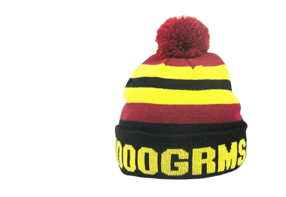 Custom Winter Knitted Fashion Sport Professional Warm Beanie