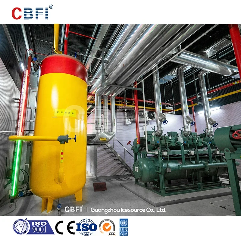 Guangzhou Factory Butchery Large Cold Room / Cold Room Equipment For Meat 1000 Square Meters