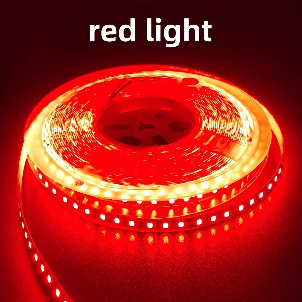 .jpg