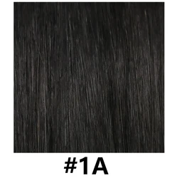 Changshunfa 2022 New Product Factory Price Russian Human Hair Single Weft Genius Weft Human Hair Extensions