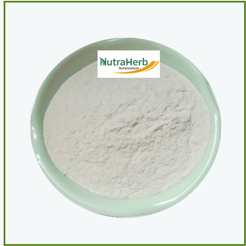 Manufacturer Supply Oyster Extract Powder Oyster Protein Oyster Peptide Powder for Drinks