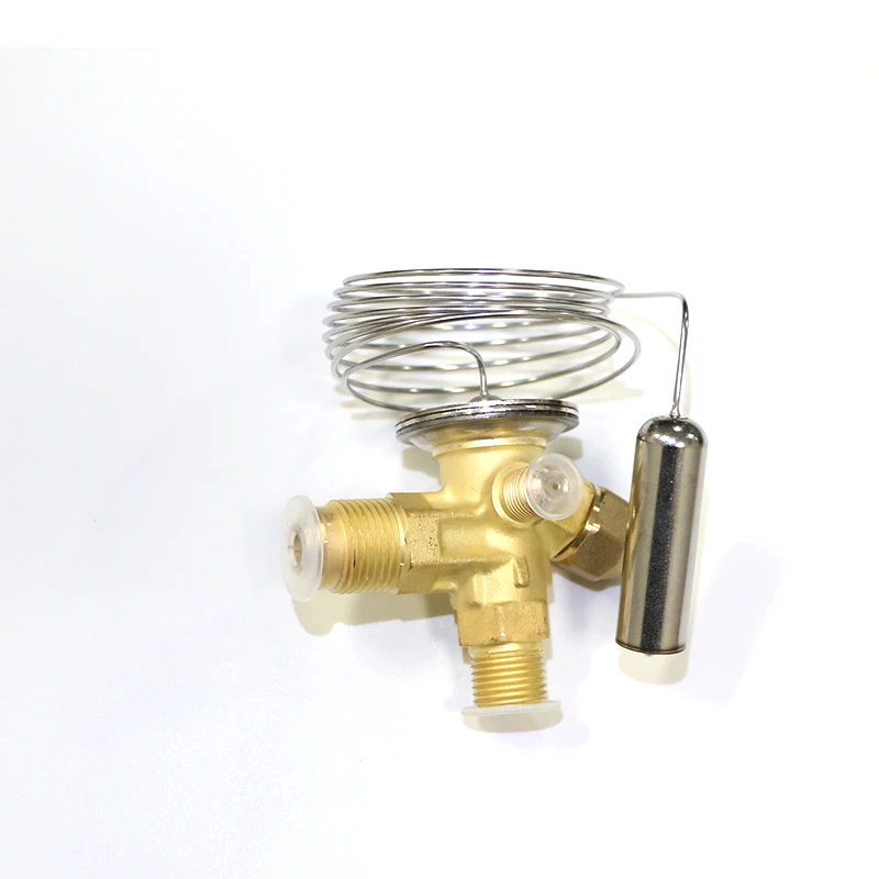ZSTR Wholesale  And Retailer Diverse Valves Refrigeration and Cold Storage Room Parts Valves T  series Thermal Expansion Valve