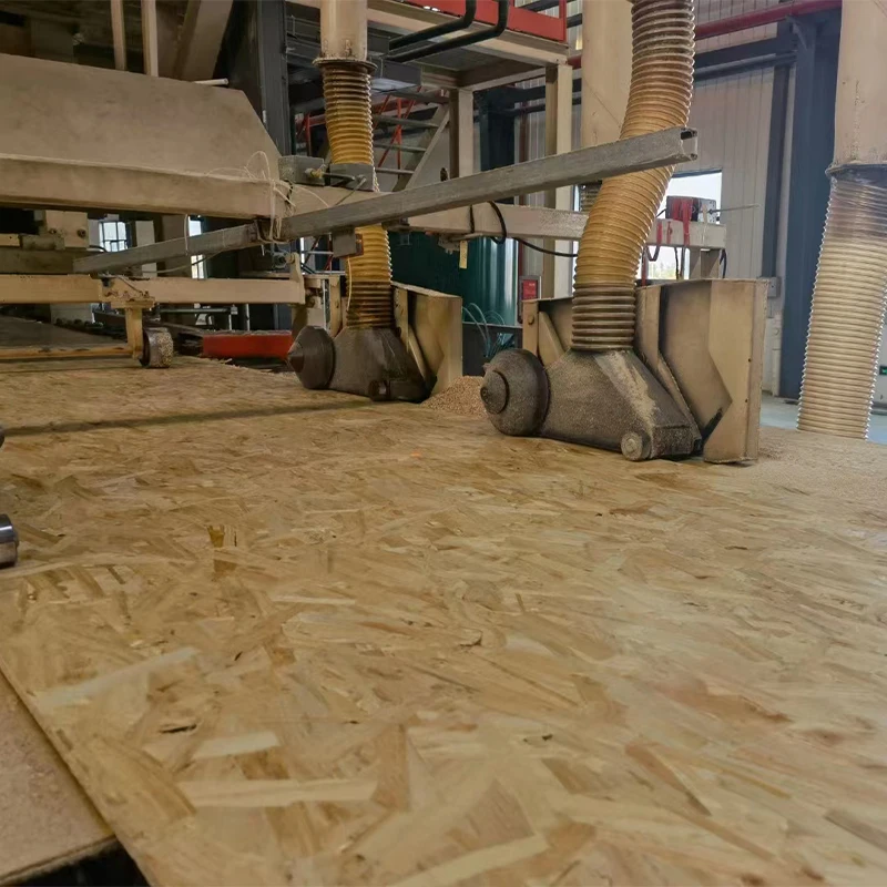 Factory direct sales with competitive price plywood panels osb boards with factory custom