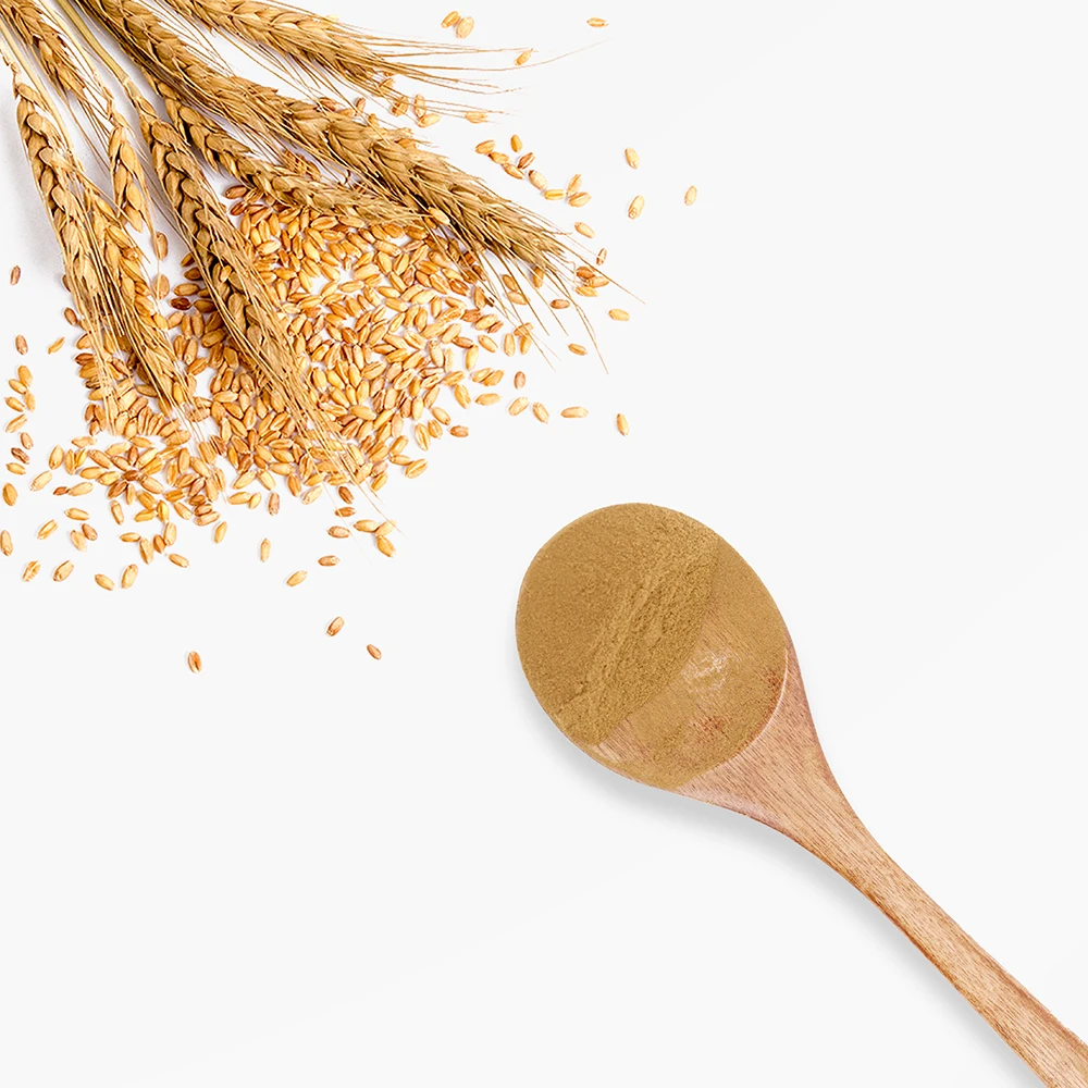 Натуральный порошок зародышей пшеницы порошок ячменного чая для твердых напитков