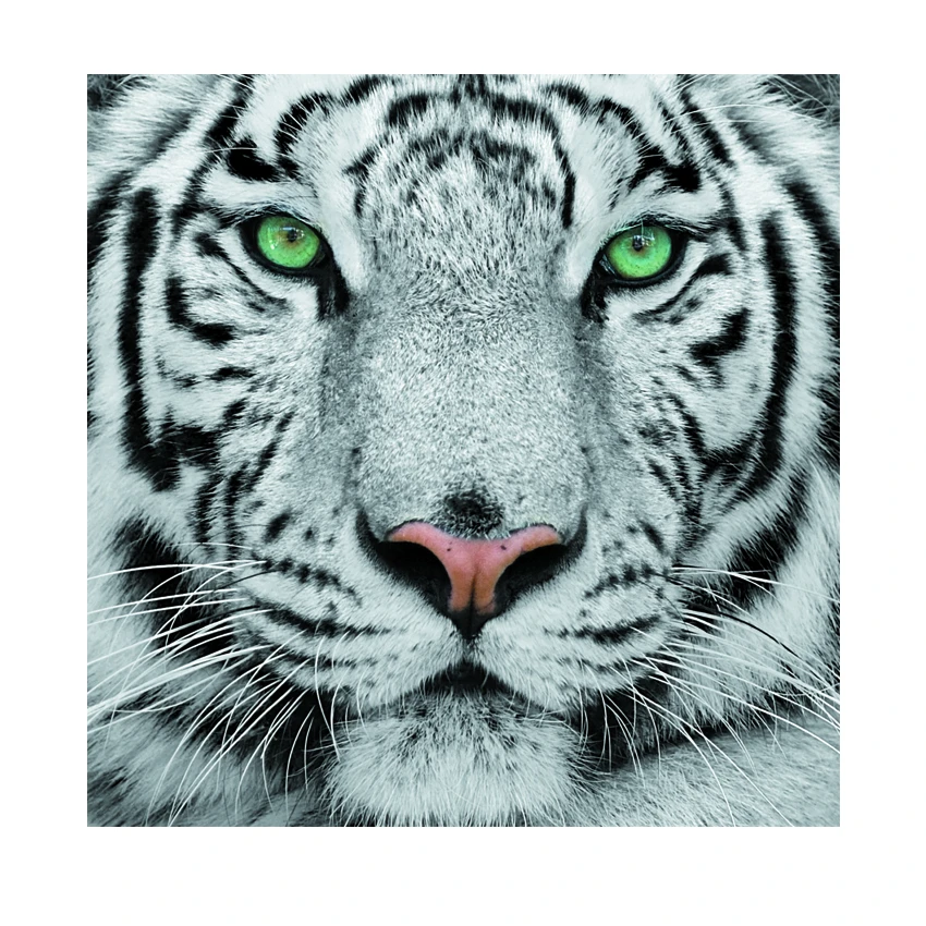 Tempered glass wall art