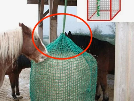 Питание и сено круглых тюков подачи корма ведра для лошади мешок