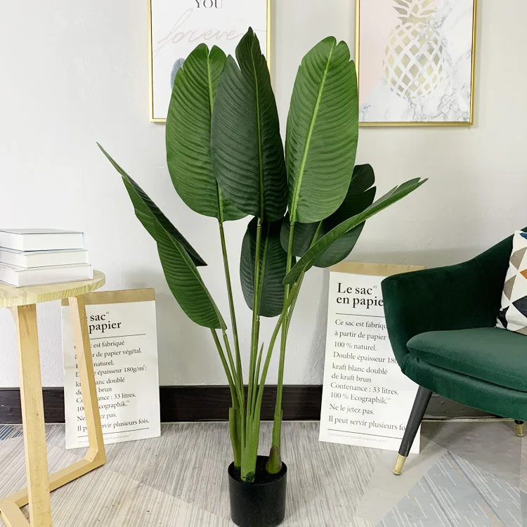 Living Room Outdoor Potted Face Monstera Plants For Artificial Plant
