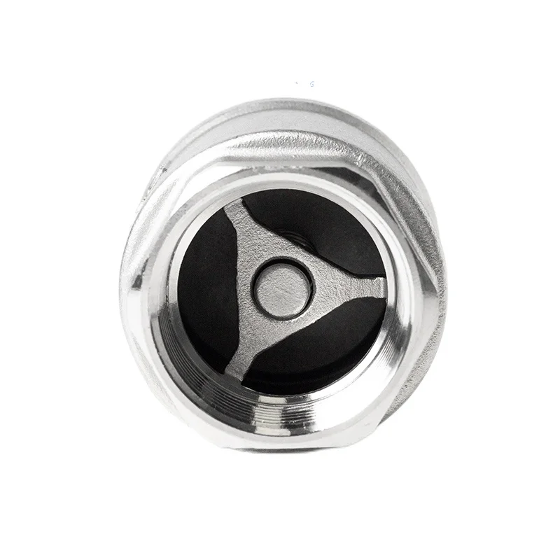 Stainless Steel Vertical Check Valve DN10 to dn80 Screw End Water Pump Check Valve Spring
