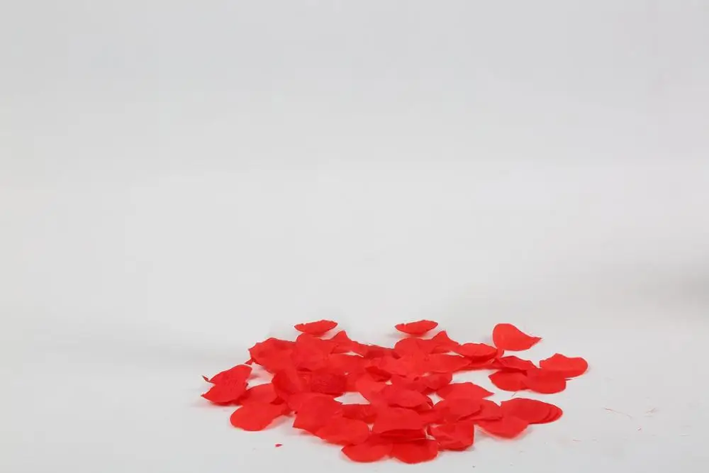 New Confetti Cannon Wands Rose Petal Party Popper For Wedding, Amazon Hot Sell New Popular New Concept Party Popper