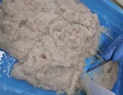 Замороженное сырье голубое мясо