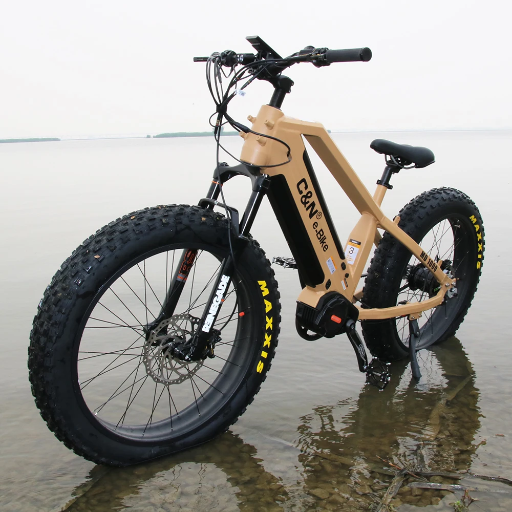  Велосипед ROHLOFF SPEEDHUB bafang ультра-рама для электровелосипеда 48 В 1000 Вт двойной ременной привод батареи ультра Средний приводной двигатель электрический
