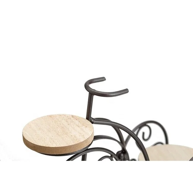 2-Plant Metal Wire Flower Pot  Planter Iron Bicycle Plant Stand for Patio Office Balcony Decor