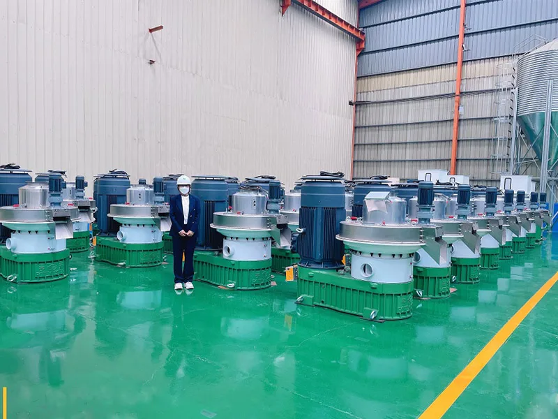 Wood Sawdust Granulator Machine 1 to 1.8 tph China Hot Sale Biomass Sawdust 110kw Pellet Mill Machine Granule Rice Husk Straw