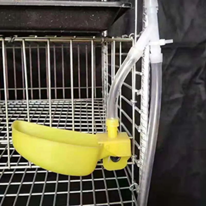 H type 6 tiers 288 capacity quail cage with drinking feeding system wire mesh cage galvanized quail cage