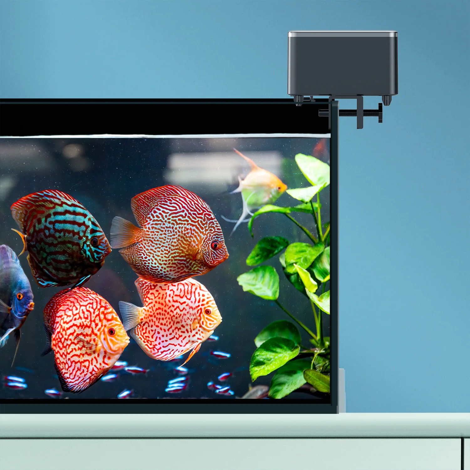 High Quality Best Price Smart Fish Feeder Series WP8621 with Science Feeds Fish Accurately and Quantitatively