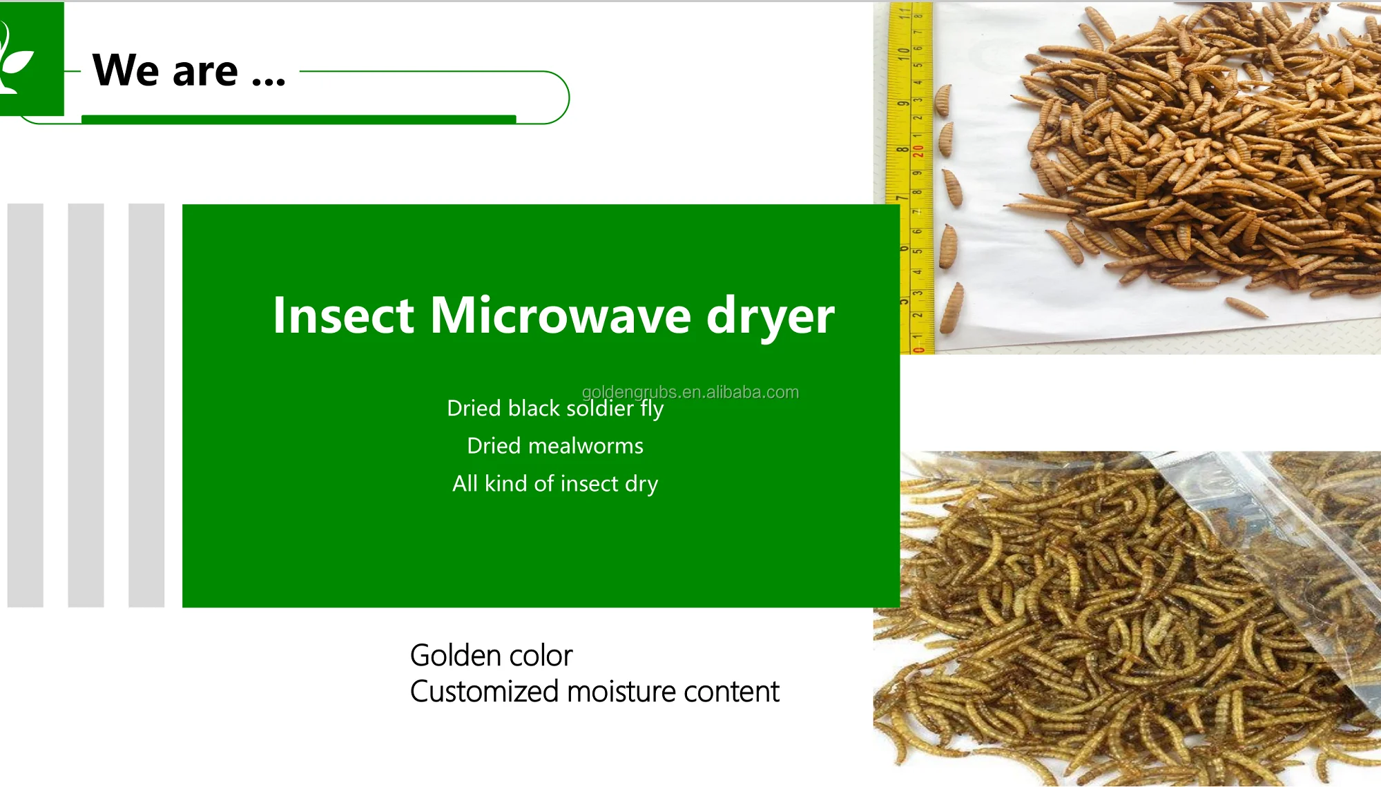 vacuum microwave dryer lab,microwave food dryer,microwave dryer machine