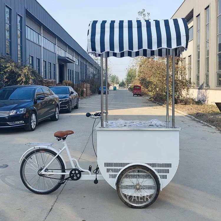 Ice Cream Bike with Coolbox Freezer for Selling Gelato Ice Cream Cart Mobile Restaurant Street Mobile Food Restaurant 3 Wheels