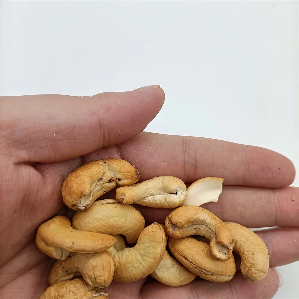 Cashew Nut - 100% Natural Non-Additive Raw/Dried Cashew Nuts w240 w320 Healthy Nuts for Food
