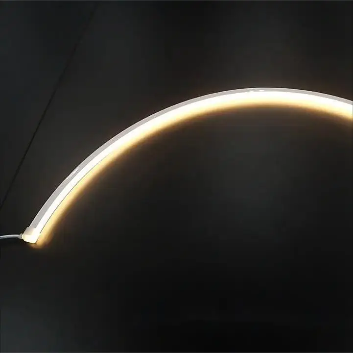 Manufacturer Luces mini 3*6 Led Neon Strip Lights Pc