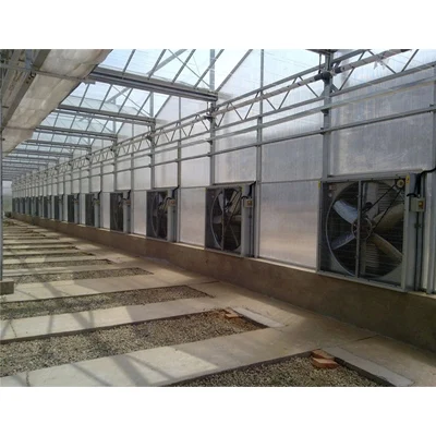 Industrial Large Exhaust Fan with Motor for Greenhouse Agriculture Hot Dip Galvanized Hammer Ventilation Way