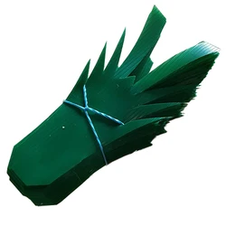 Japanese sushi tools box thin food plastic containers divider