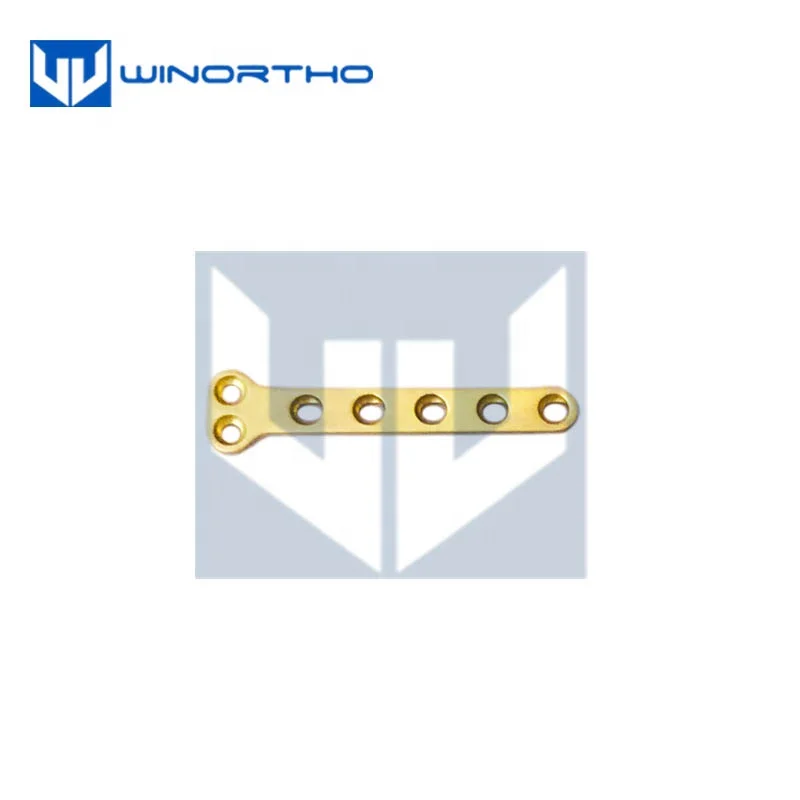 T Plates compression bone screws pet surgical tools and veterinary orthopedic instruments