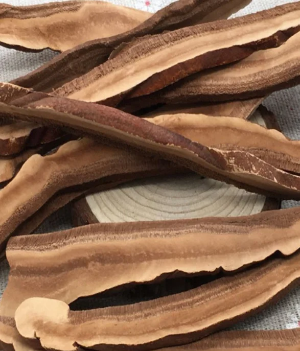 Pure premium quality shredded mushrooms raw chopped ganoderma slices