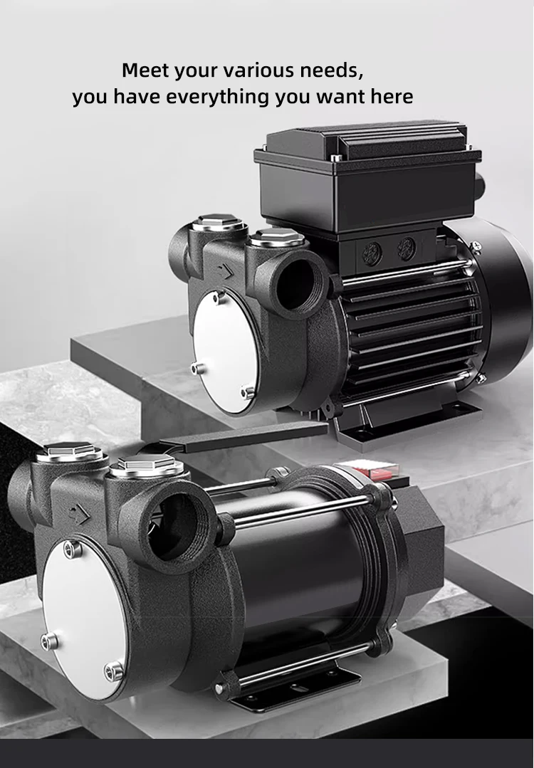 Seirna Electric Diesel Oil Transfer Pump 12V 24V HighQuality Pump for Diesel Oil Transfer with Easy Operation