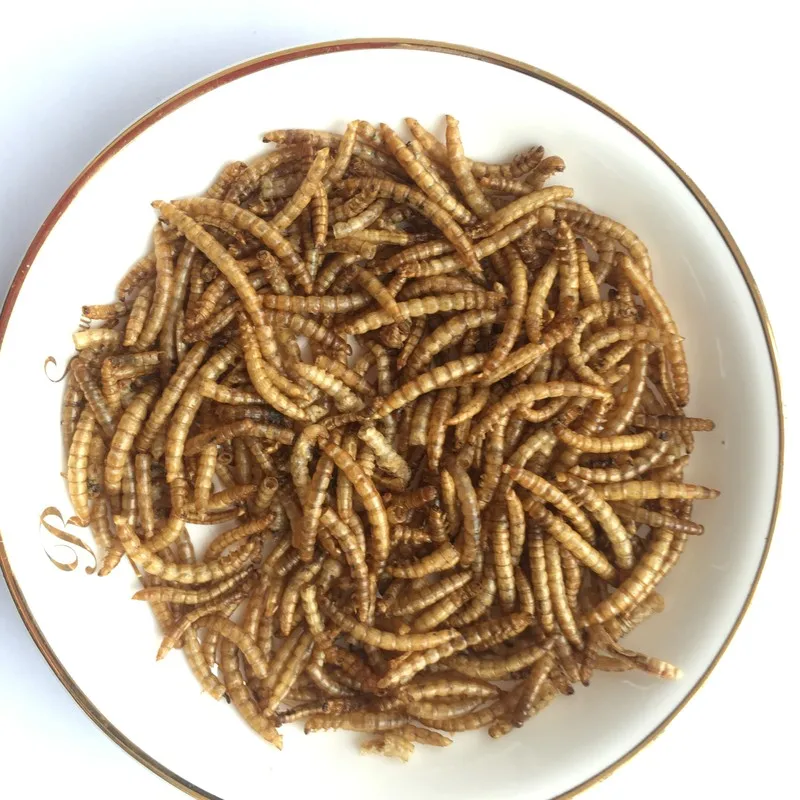 
High Protein Dried Mealworms pet food fish food ANIMAL FEED bulk mealworm 