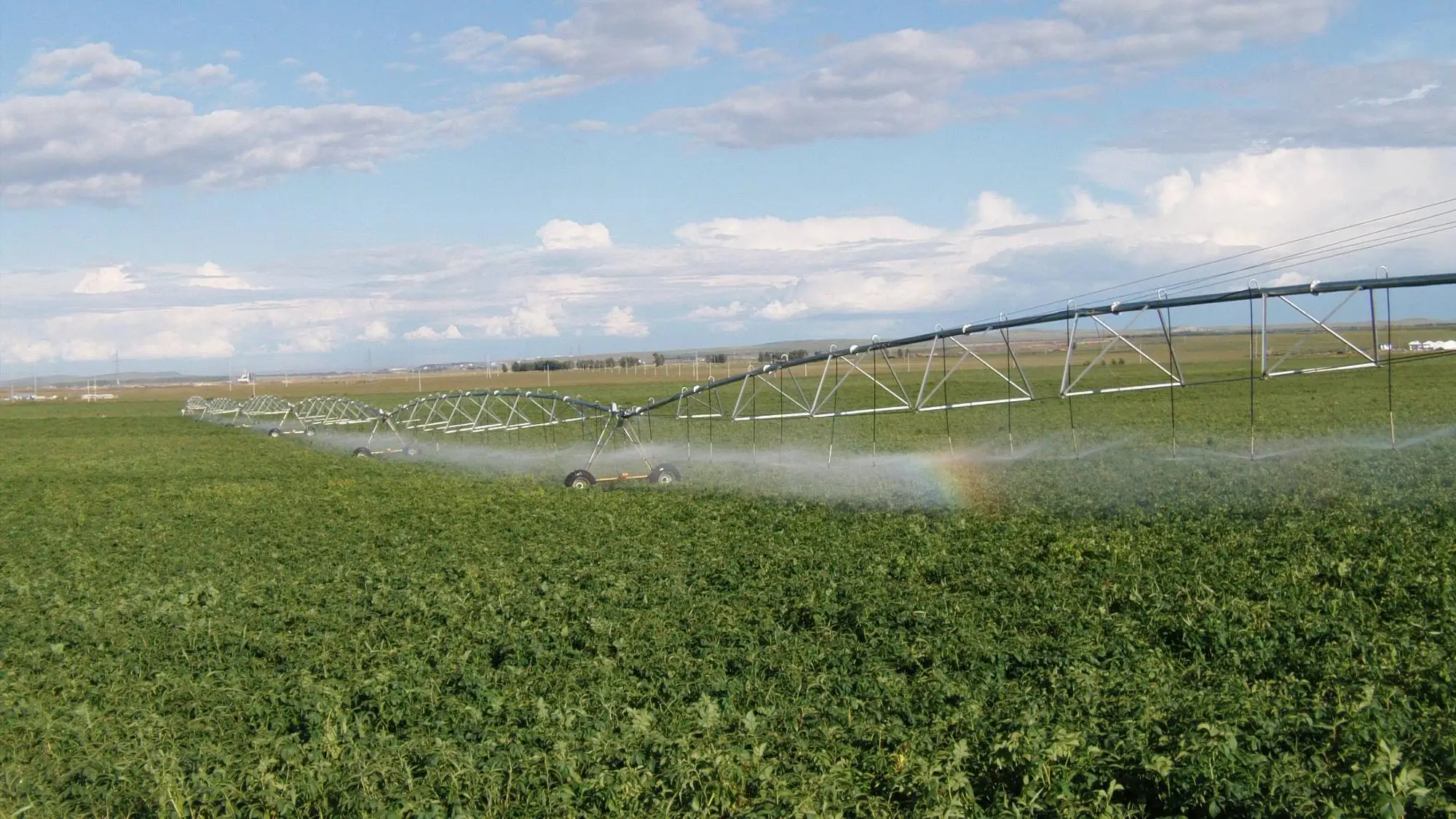 0.3 hp - 1.5 hp High Efficient Surface Pump Draw Water Dewatering Electric Pump BP-201