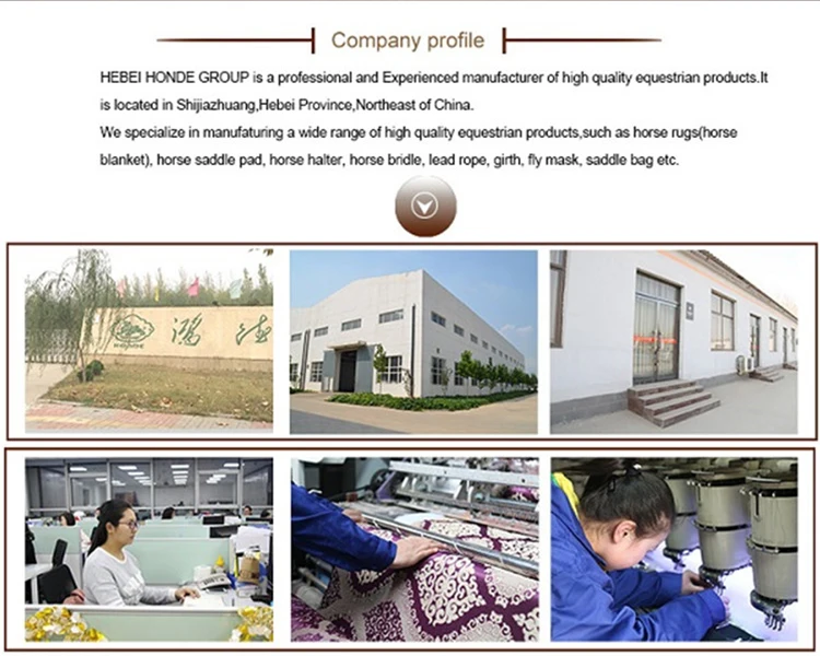 01 Company profile.jpg