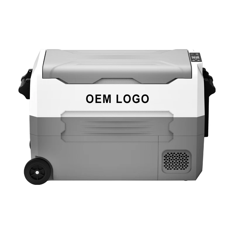 DC 12 вольт 50 л Мини Автомобильный холодильник с морозильной камерой с Европейским компрессором портативный холодильник с морозильной камерой автомобильный холодильник мини-кулер