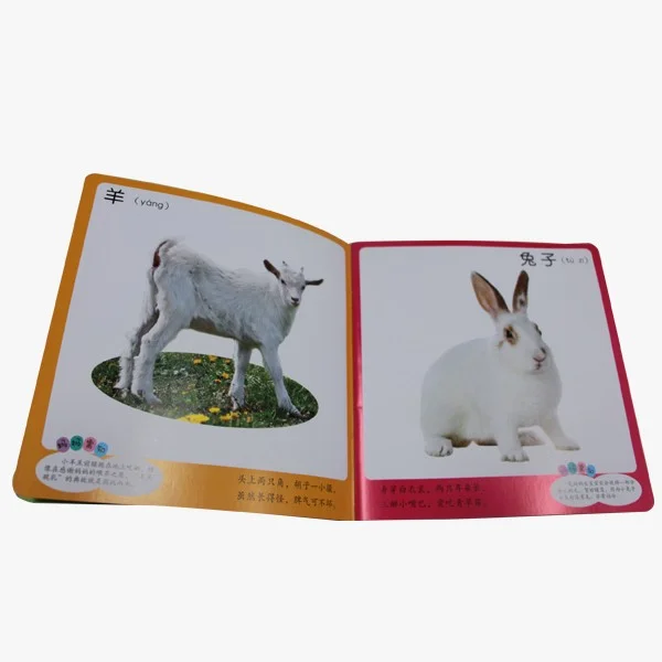 
High Quality Coloring A2 A3 A4 A5 Presentation Folder printing 