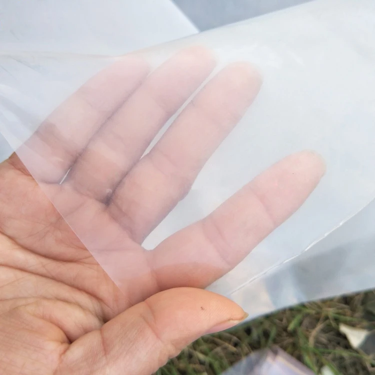 Коммерческая теплица с пластиковой пленкой для сельского хозяйства