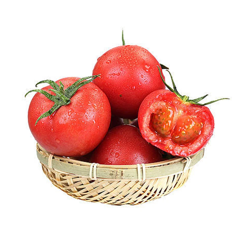 High Quality Good Price Gourmet Tomatoes Top-Quality Bulk Tomatoes For Export