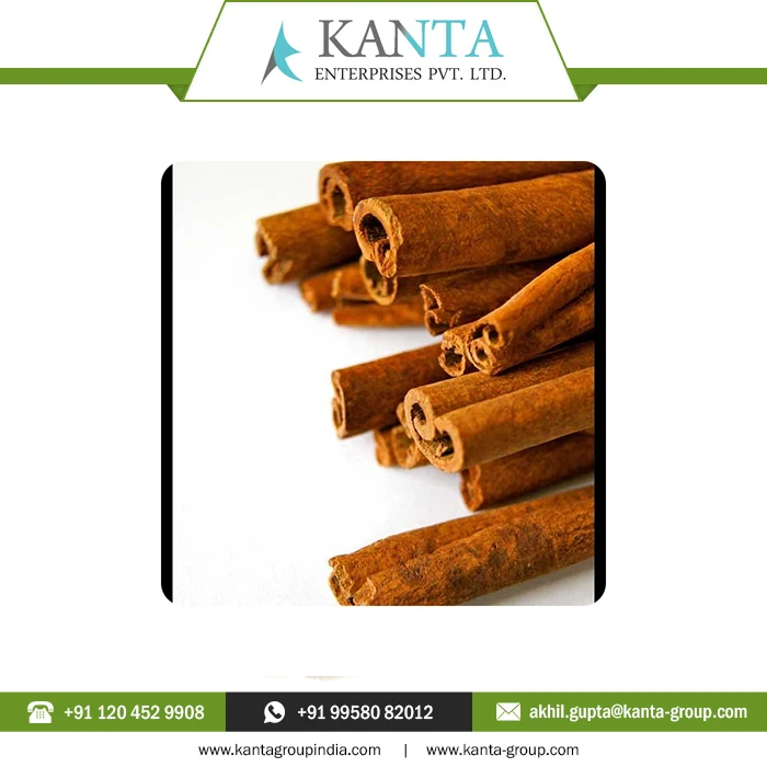 Best Selling Medically Tested Cinnamon Essential Oil Fight bacteria, parasites and fungi at Low Price