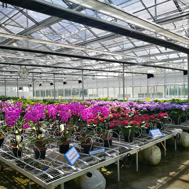 Agriculture Greenhouse Seed Rolling Bench Rolling Bed