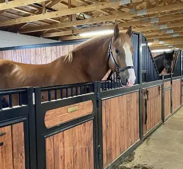 horse stable front door panel portable horse stables stalls with roof