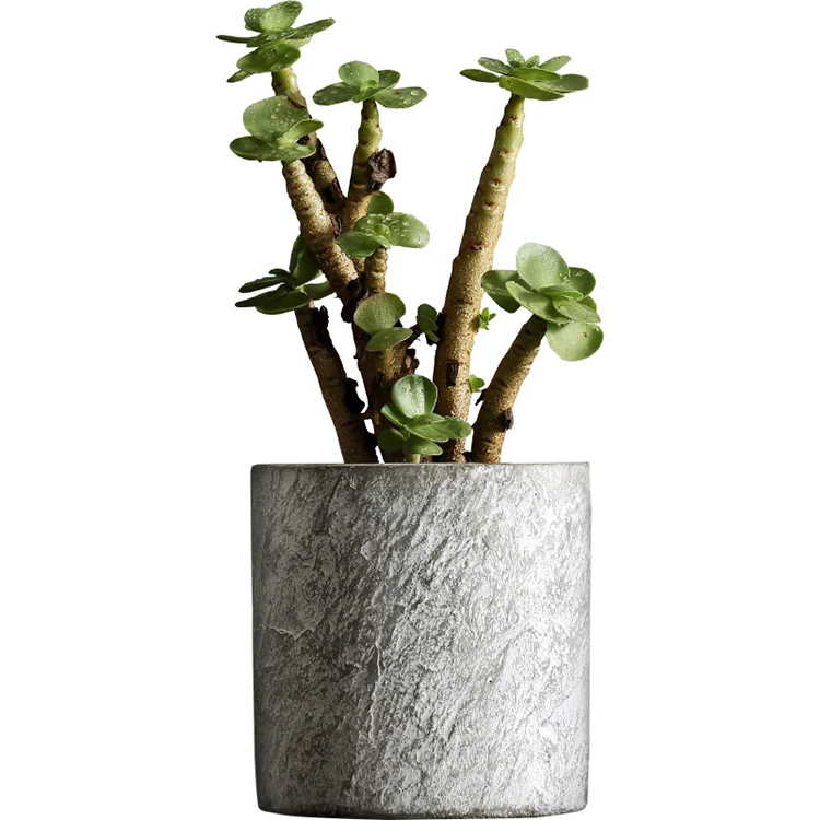 Rough texture home tabletop decorations concrete bonsai succulent plant pots garden supplies flower pot for plant flower