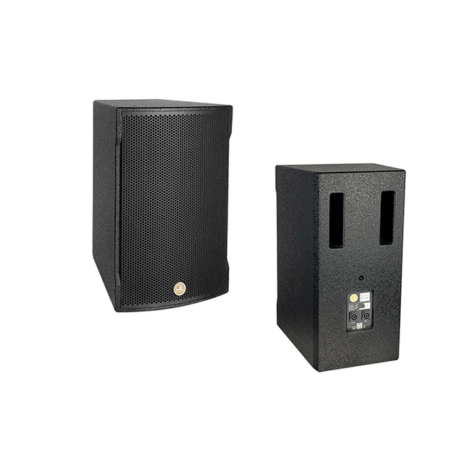 Professional audio karaoke 10 inch dj sound KTV audio speaker