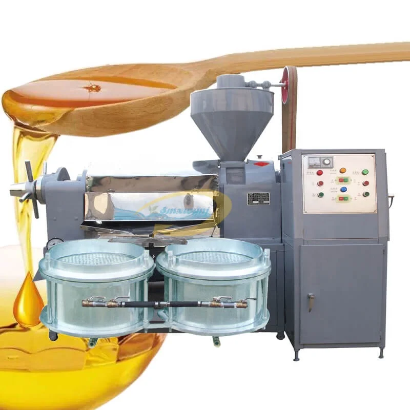 2024 Cooking oil making machine 100 kg per hour cold and hot press oil extraction machine oil press machine for groundnuts