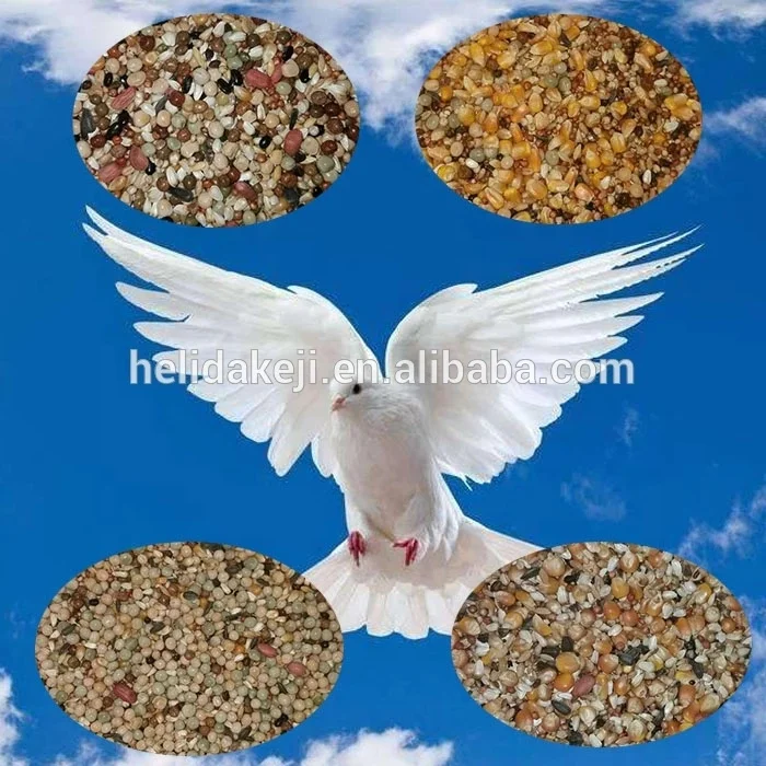Pigeon food polishing and mixing machine